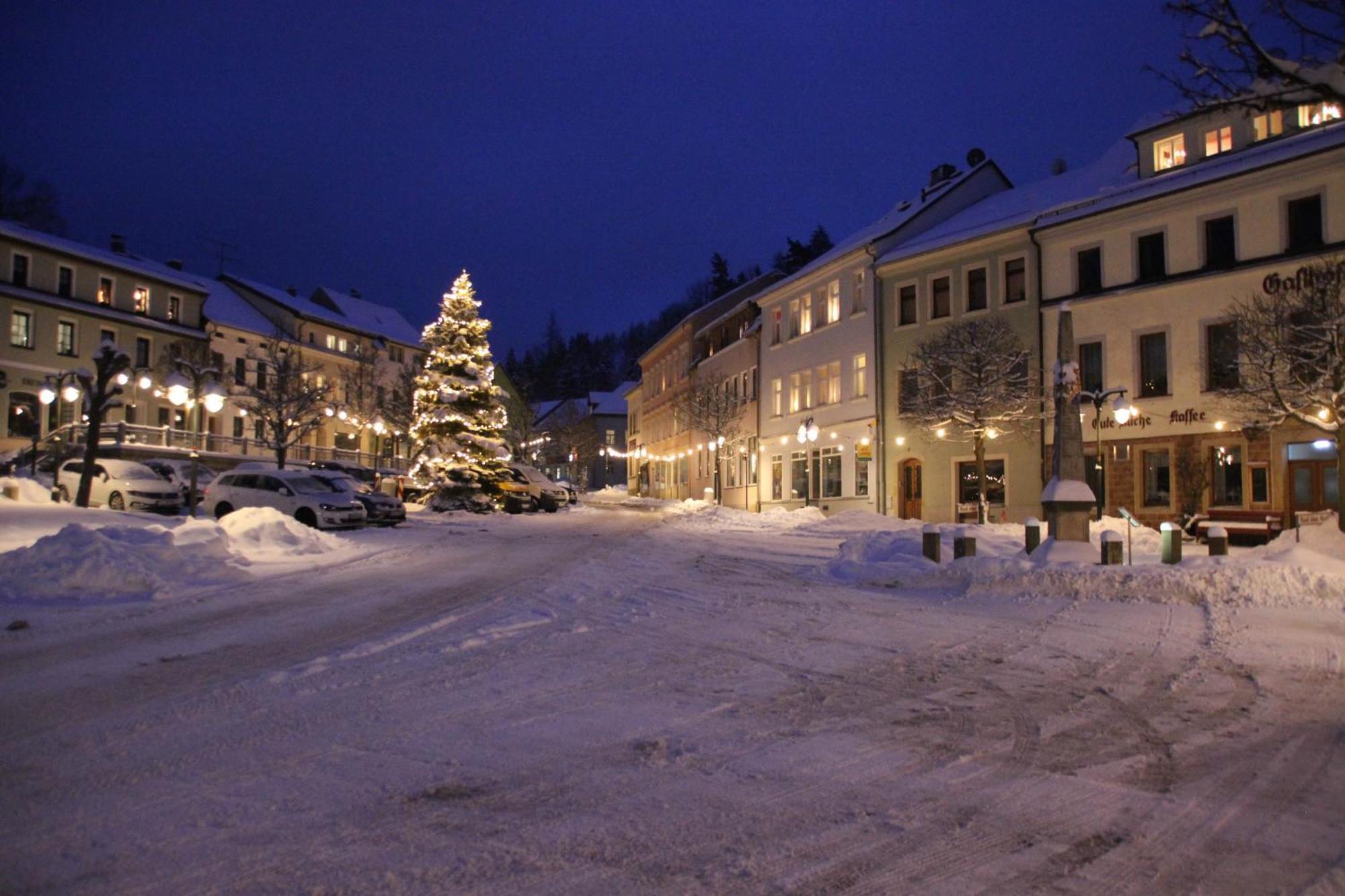 Gasthof Hillig Bad Gottleuba エクステリア 写真